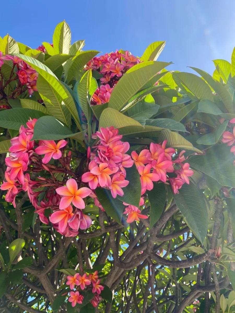 🌸 слово, которое невозможно перевести на английский ☺️

киснуть

В русском можно одним словом описа