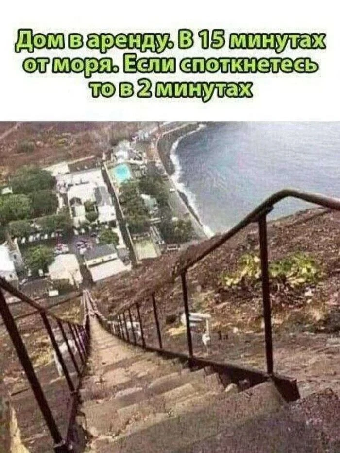 🤣🤣🤣
