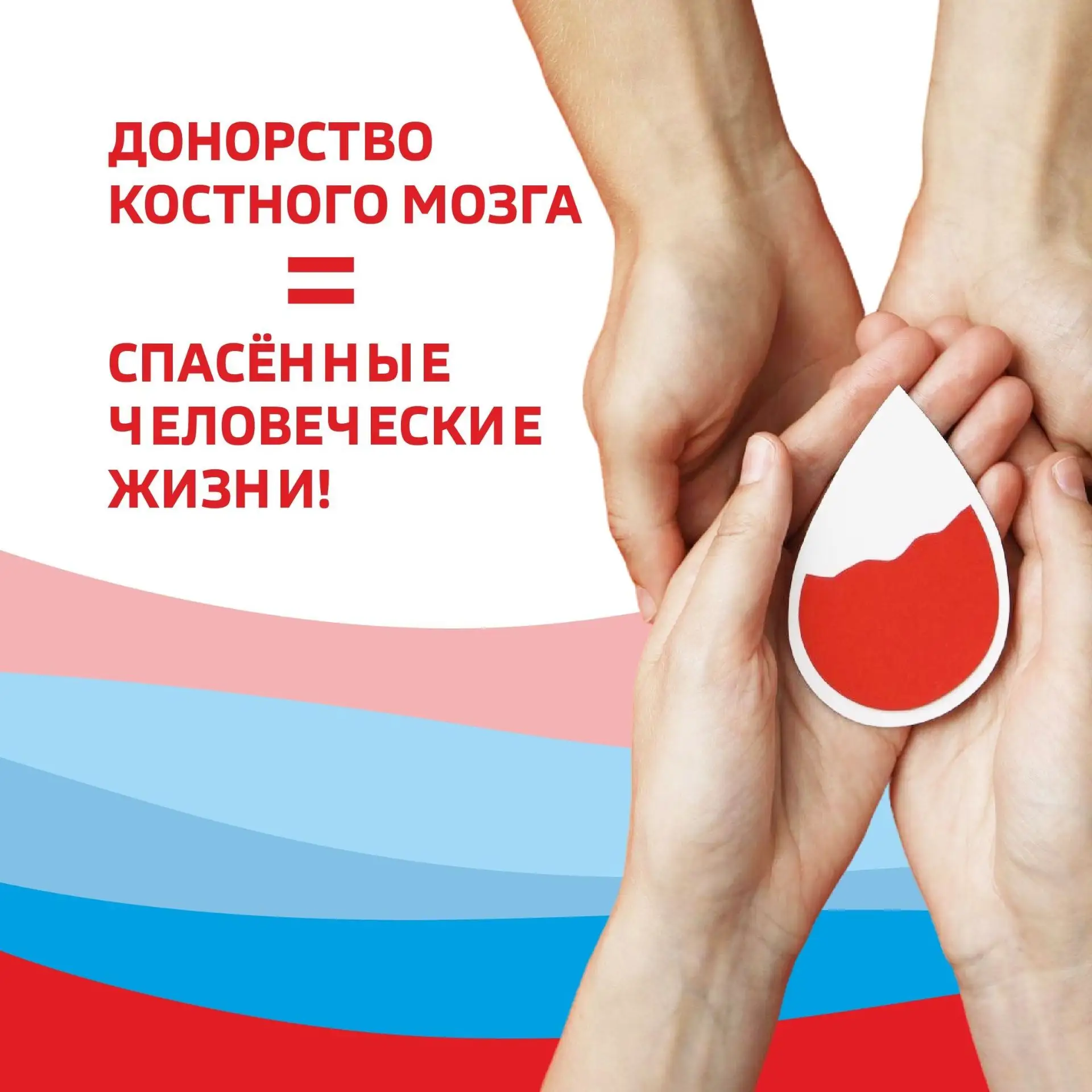 Донорство костного мозга – безопасно и важно
Пересадка костного мозга нужна пациентам при онкологиче