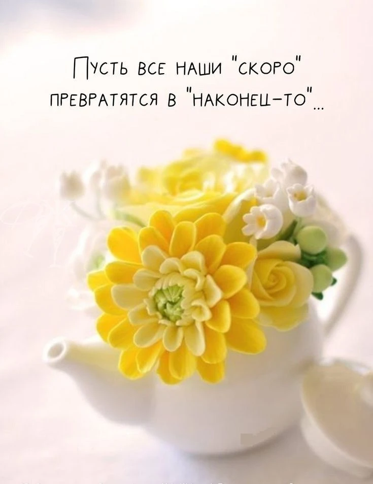 💛💛💛