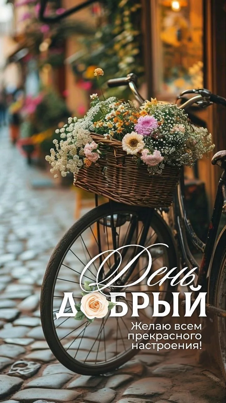 #хорошегодня