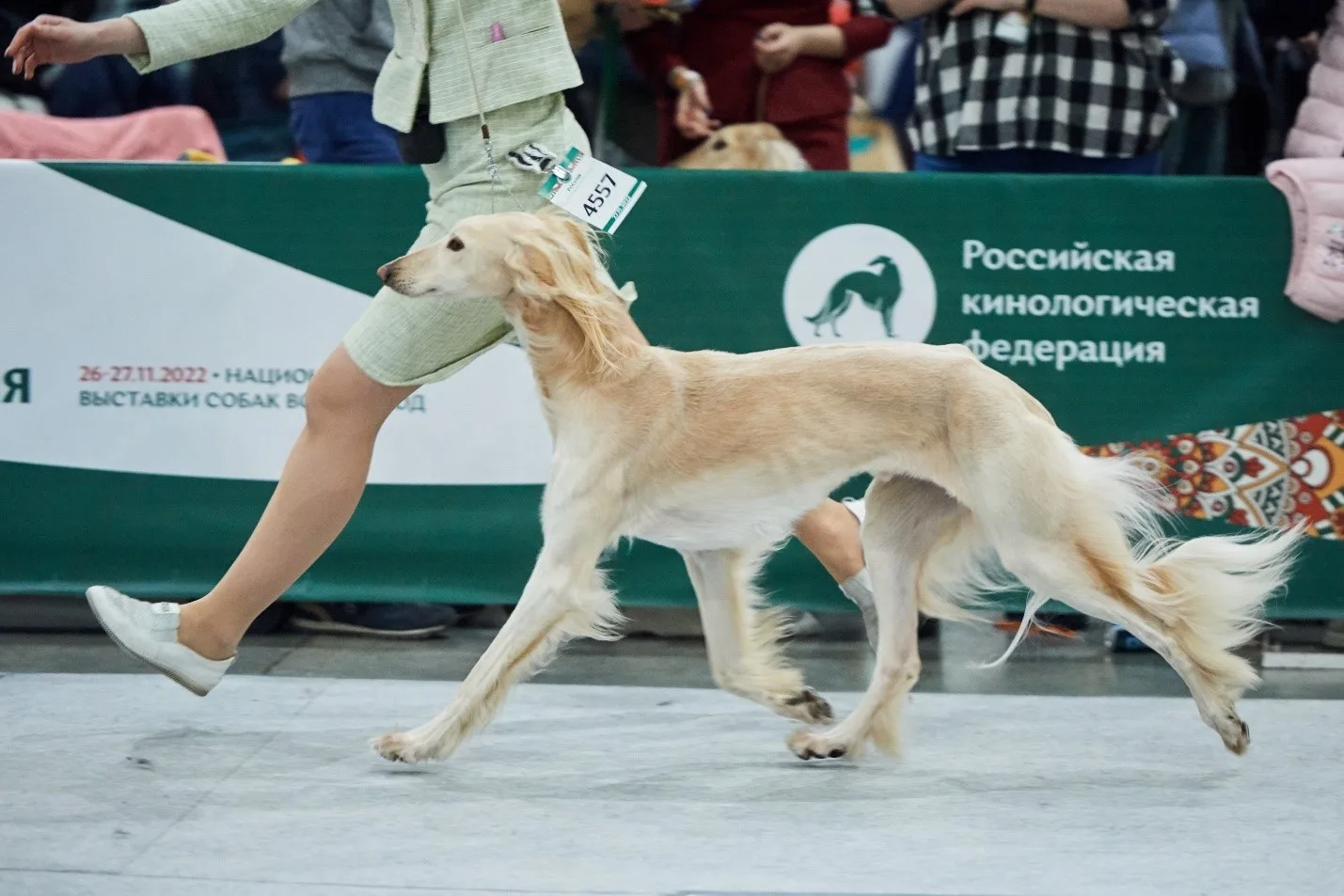 🐶8 тысяч пëселей привезут в Парк Патриот на этих выходных

Повод: 20 и 21 июня в конгрессно-выставо