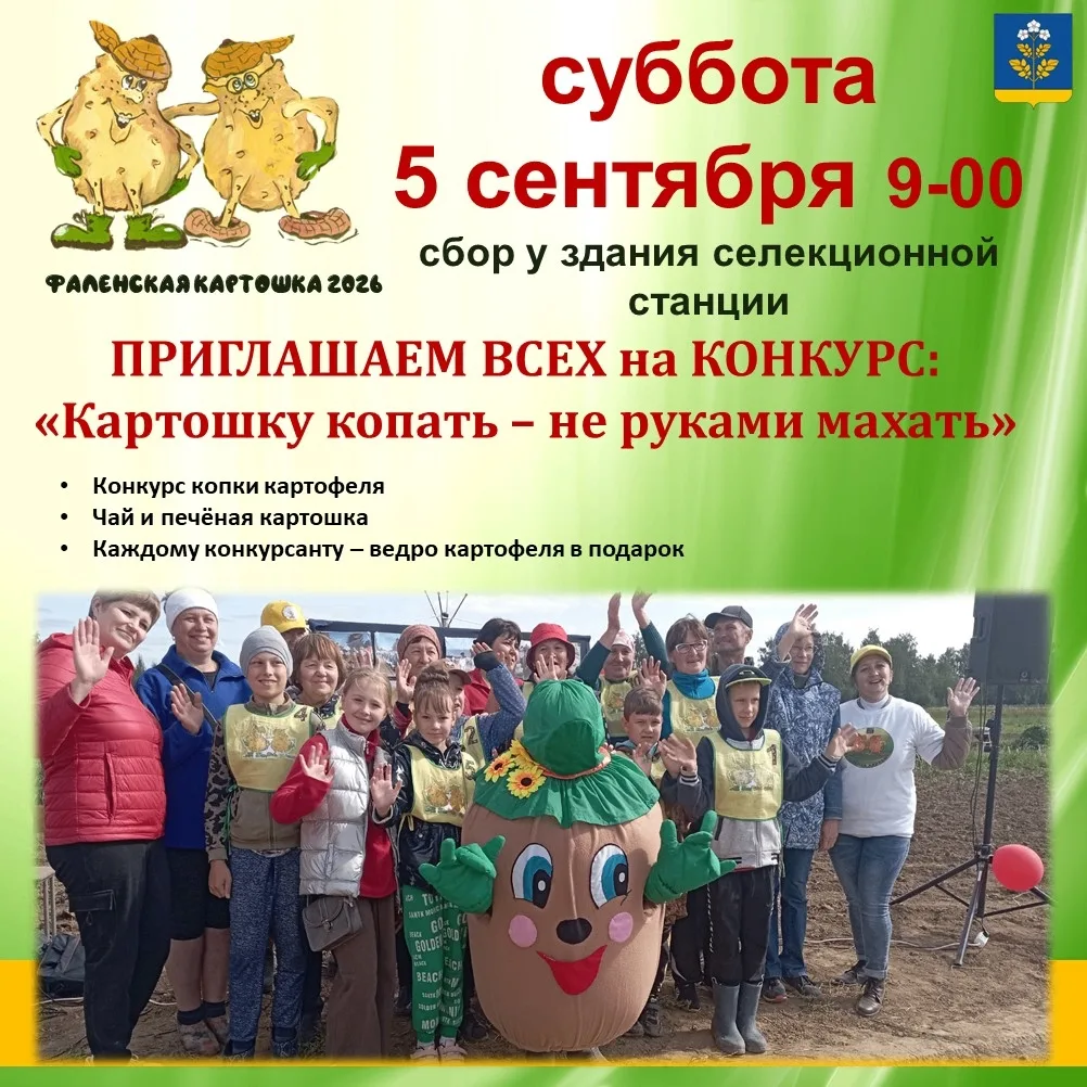 ВНИМАНИЕ: ВСЕ НА ФАЛЕНСКУЮ КАРТОШКУ