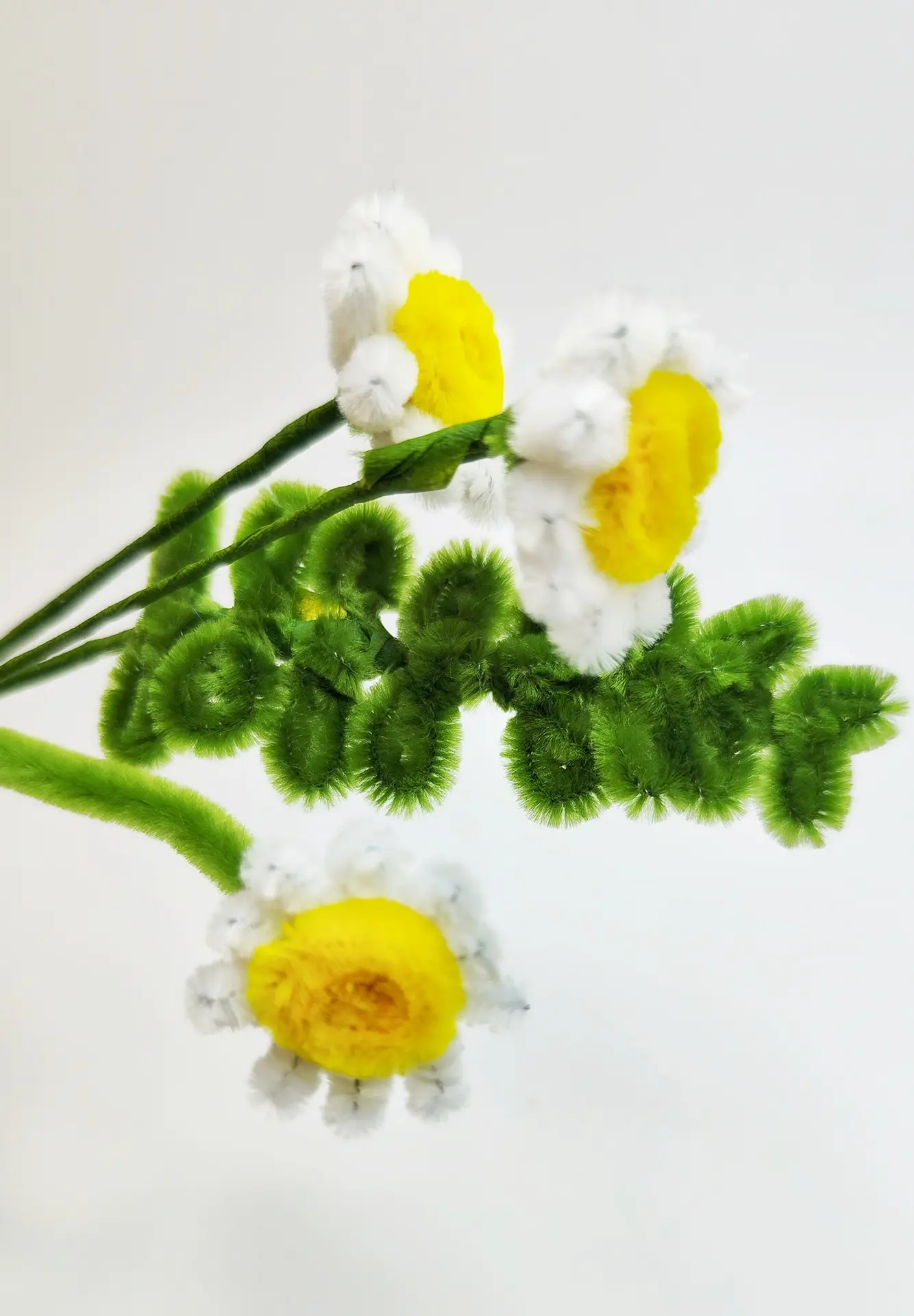 В пару к незабудкам (смотри пост выше) просто идеально заходят ромашки 🌼💙  Вместе они в букете смотр