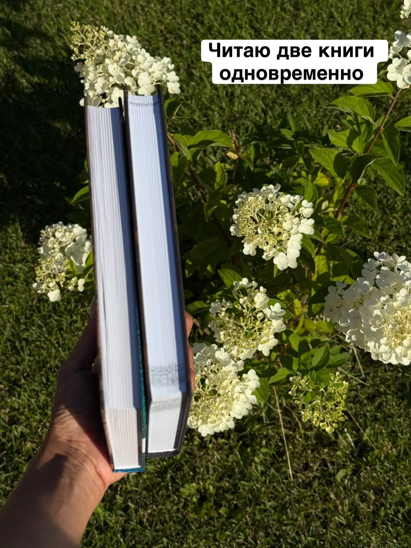 Читаю сейчас две книги одновременно!