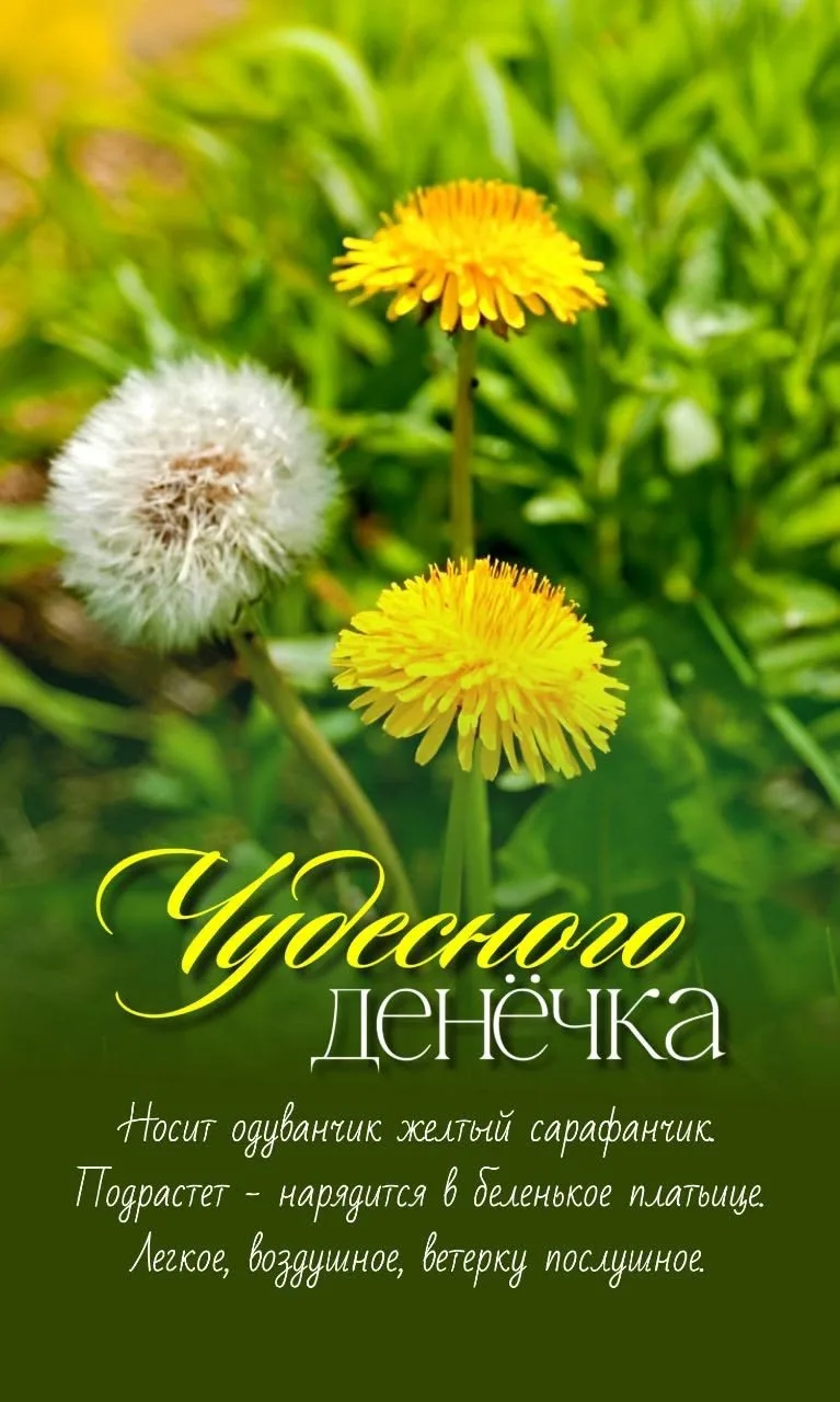 💖Избранные открытки - присоединяйтесь 👈