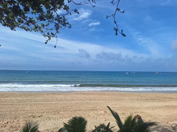Хайнань из Иркутска ✈️

26.06 на 9 ночей от ✅114 500 руб за 2-х

119 100р- Sanya Bihai Jinsha Hotel 
