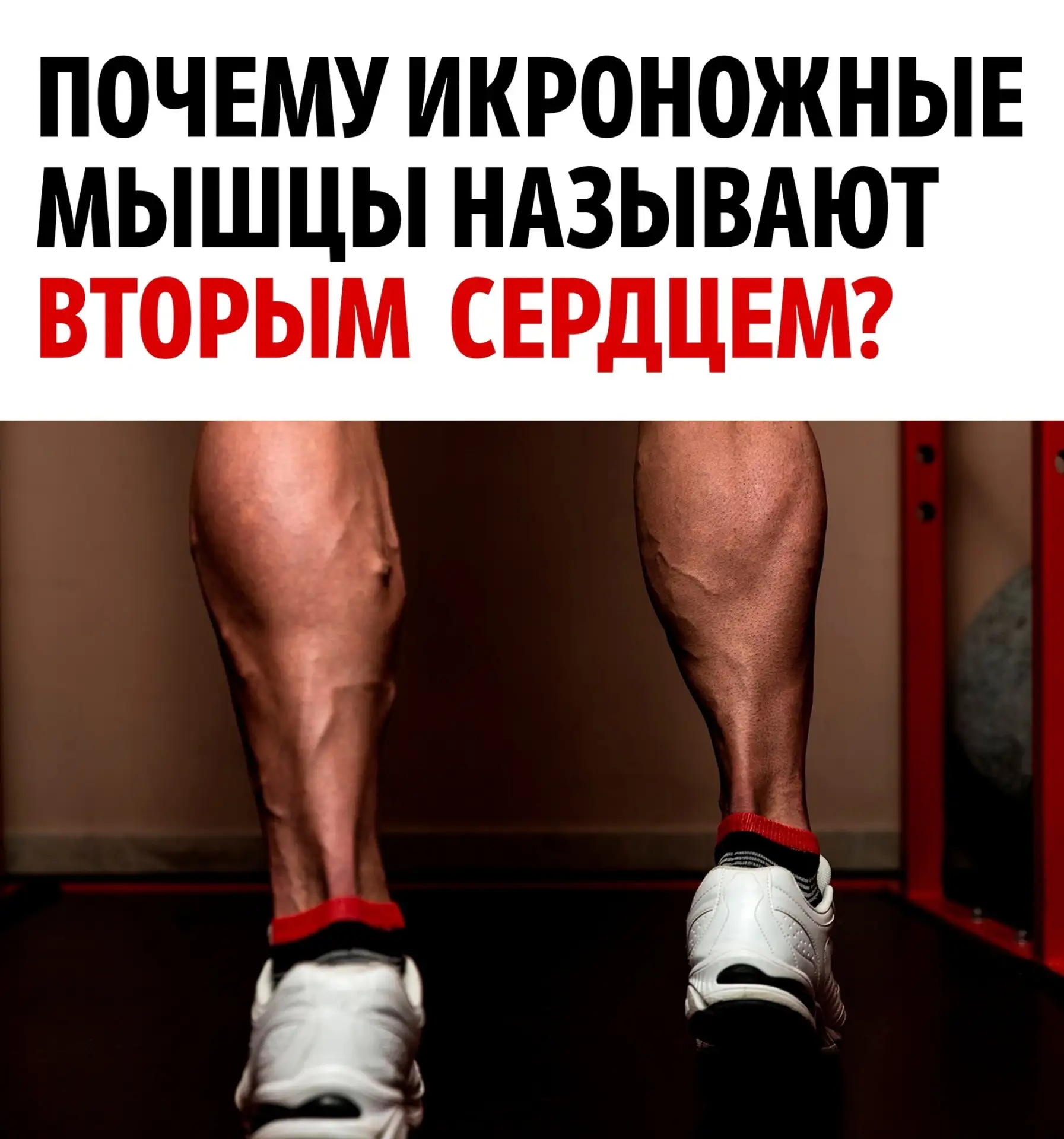 https://sun9-53.vkuserphoto.ru/s/v1/ig2/v0ZjTsbuMYi8cTH62y3FrPJwO0ZEDT9WawWns2k-SxUC9dA...
