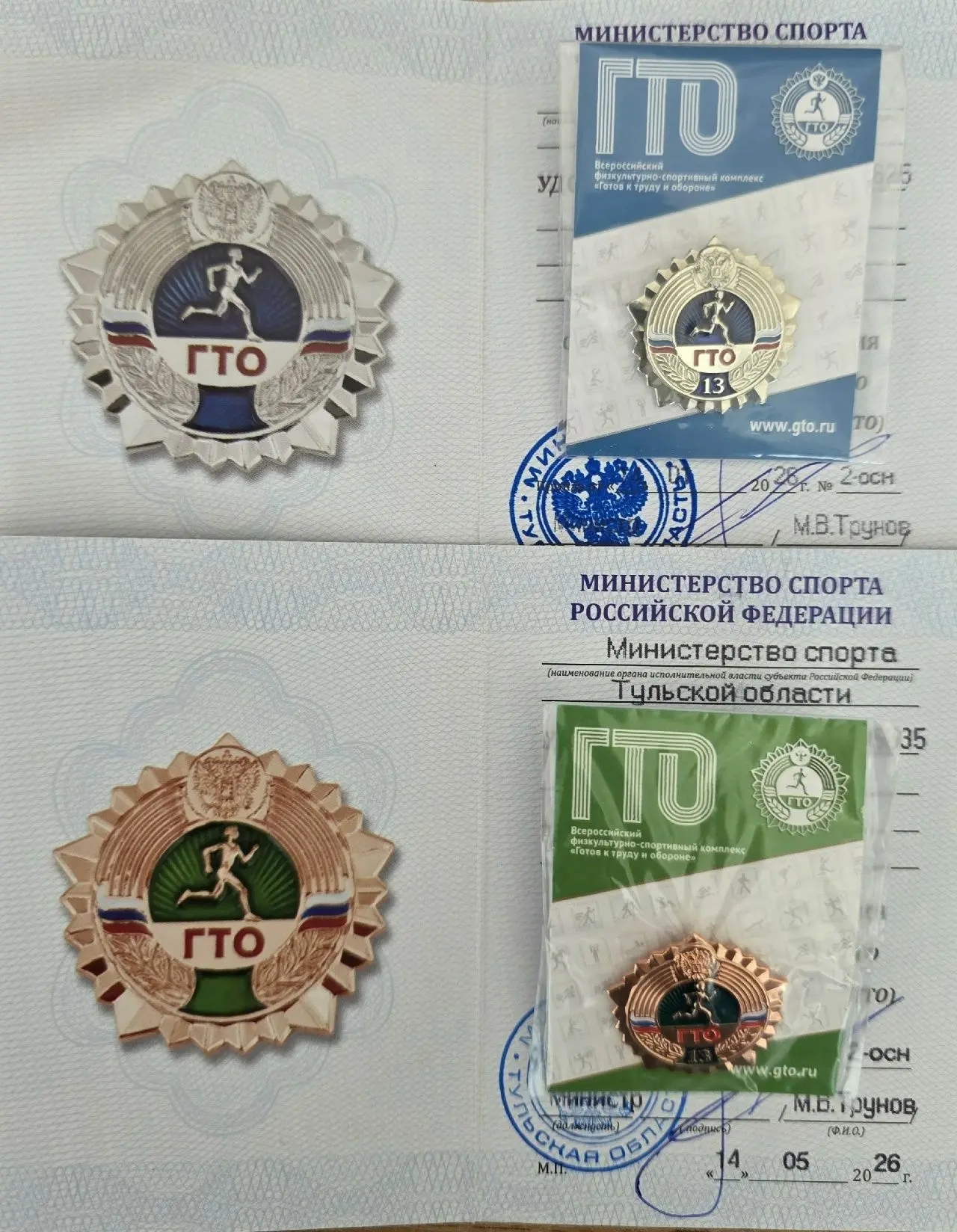 Спортивные достижения