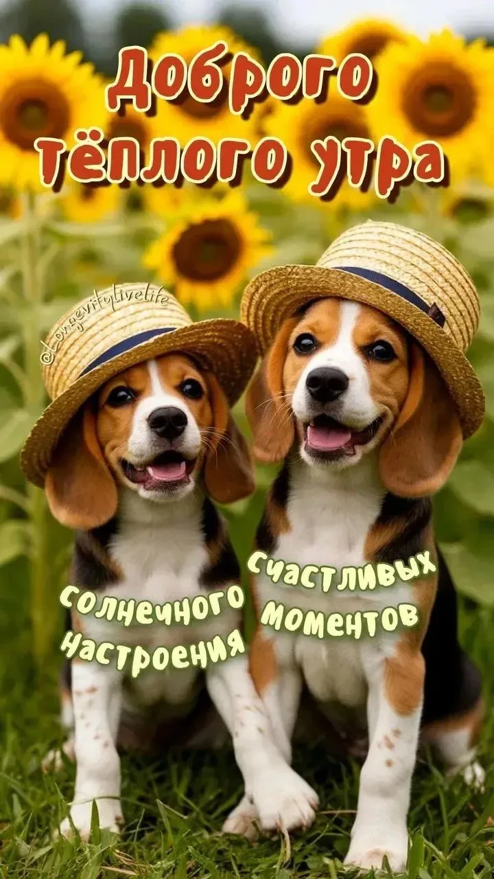 Чудесные Открытки🥹