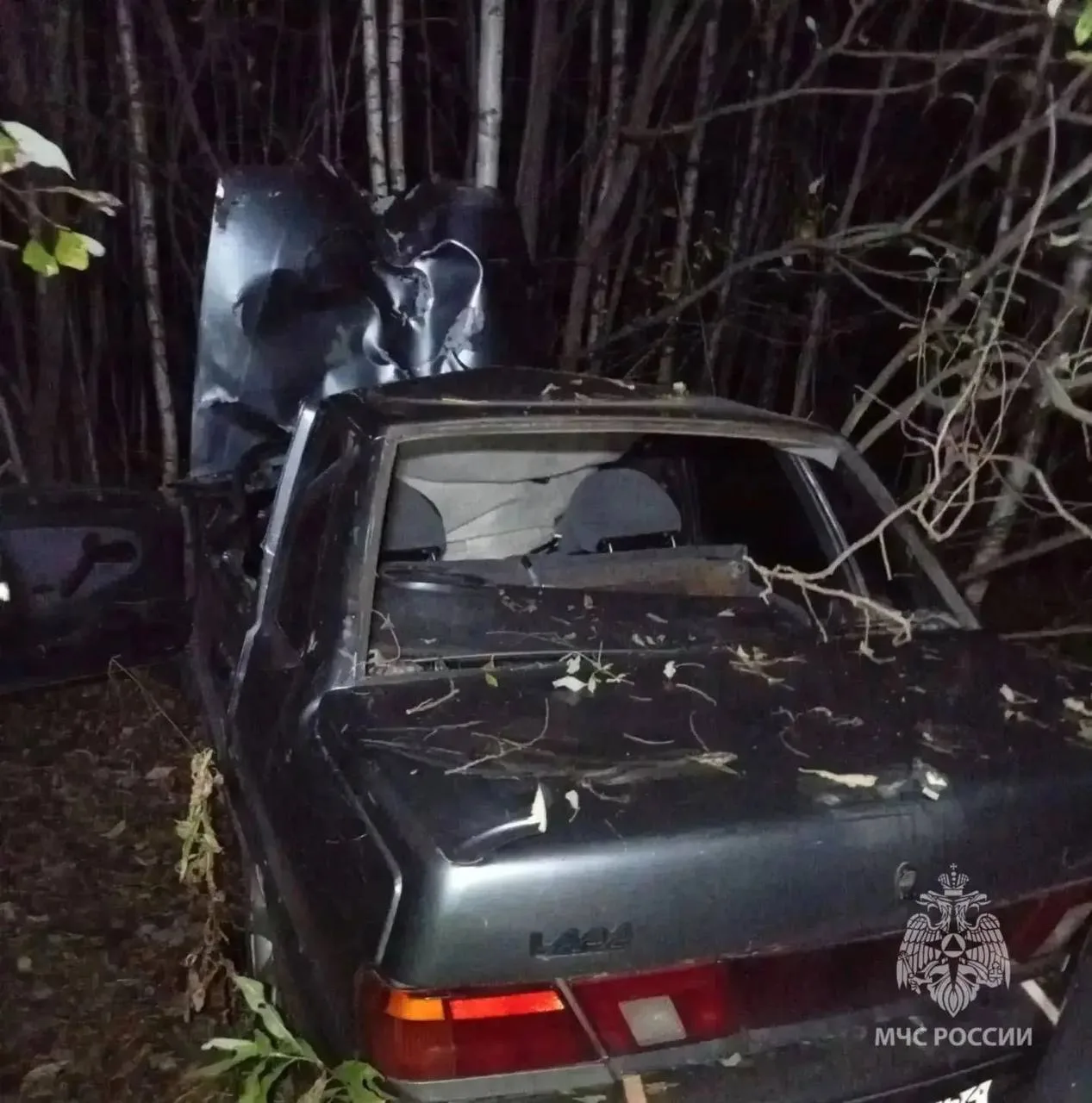 🐎 Лошадь внезапно вышла на трассу — водитель погиб в ДТП в Краснобаковском округе