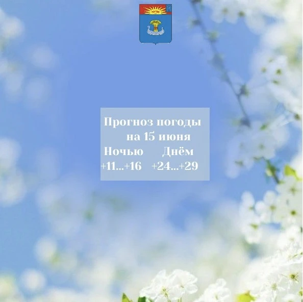 Прогноз погоды на 15 июня 2026 года

    
15.06.2026 года ночью: переменная облачность. Местами крат