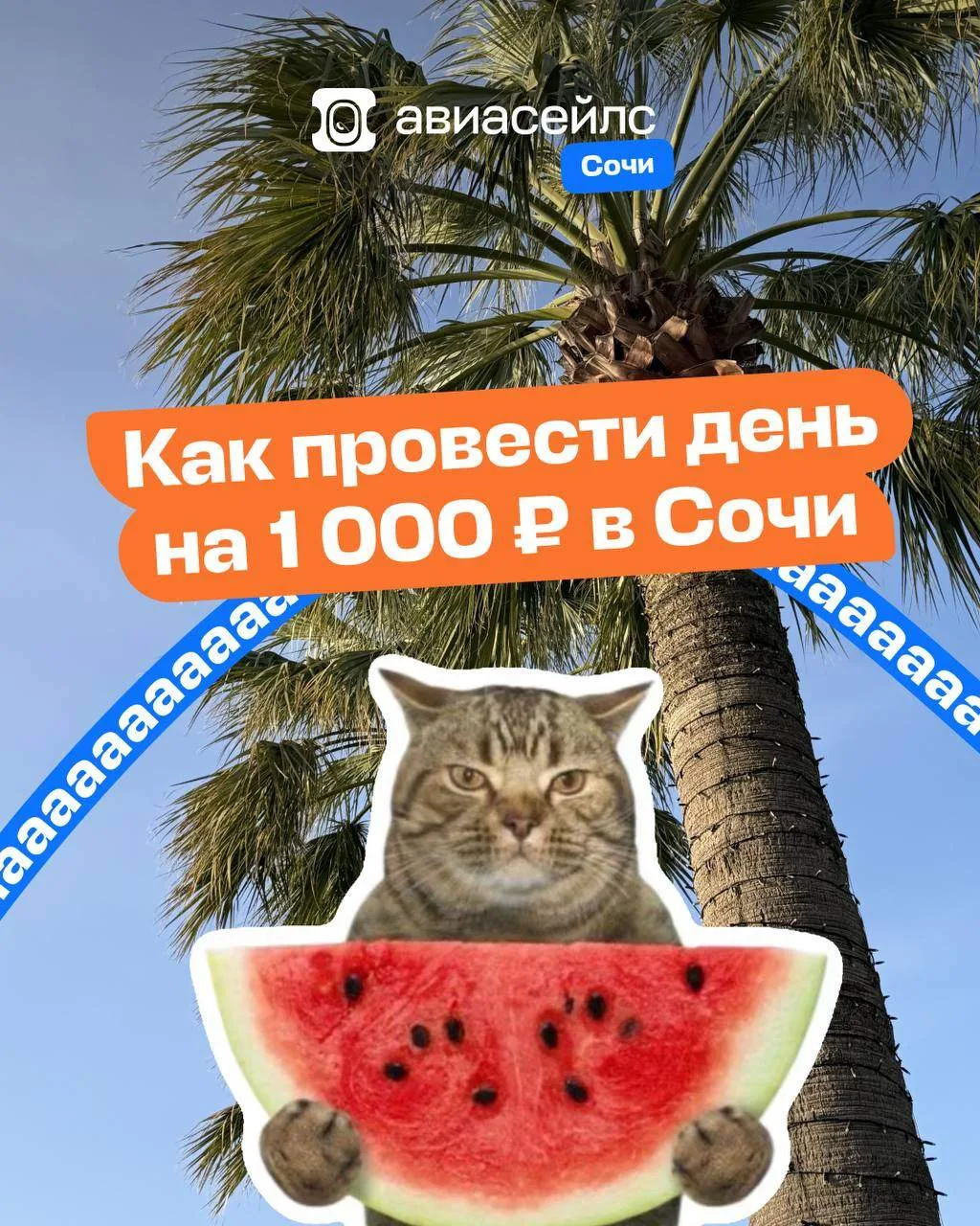 Сохраняем экономный план летнего дня 😎