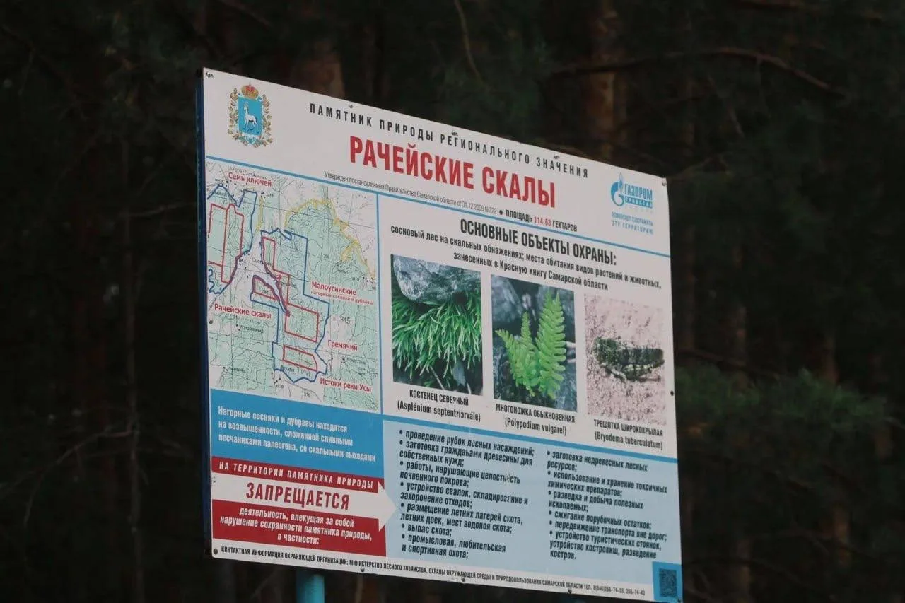 🌲 В Рачейских скалах появится экотропа