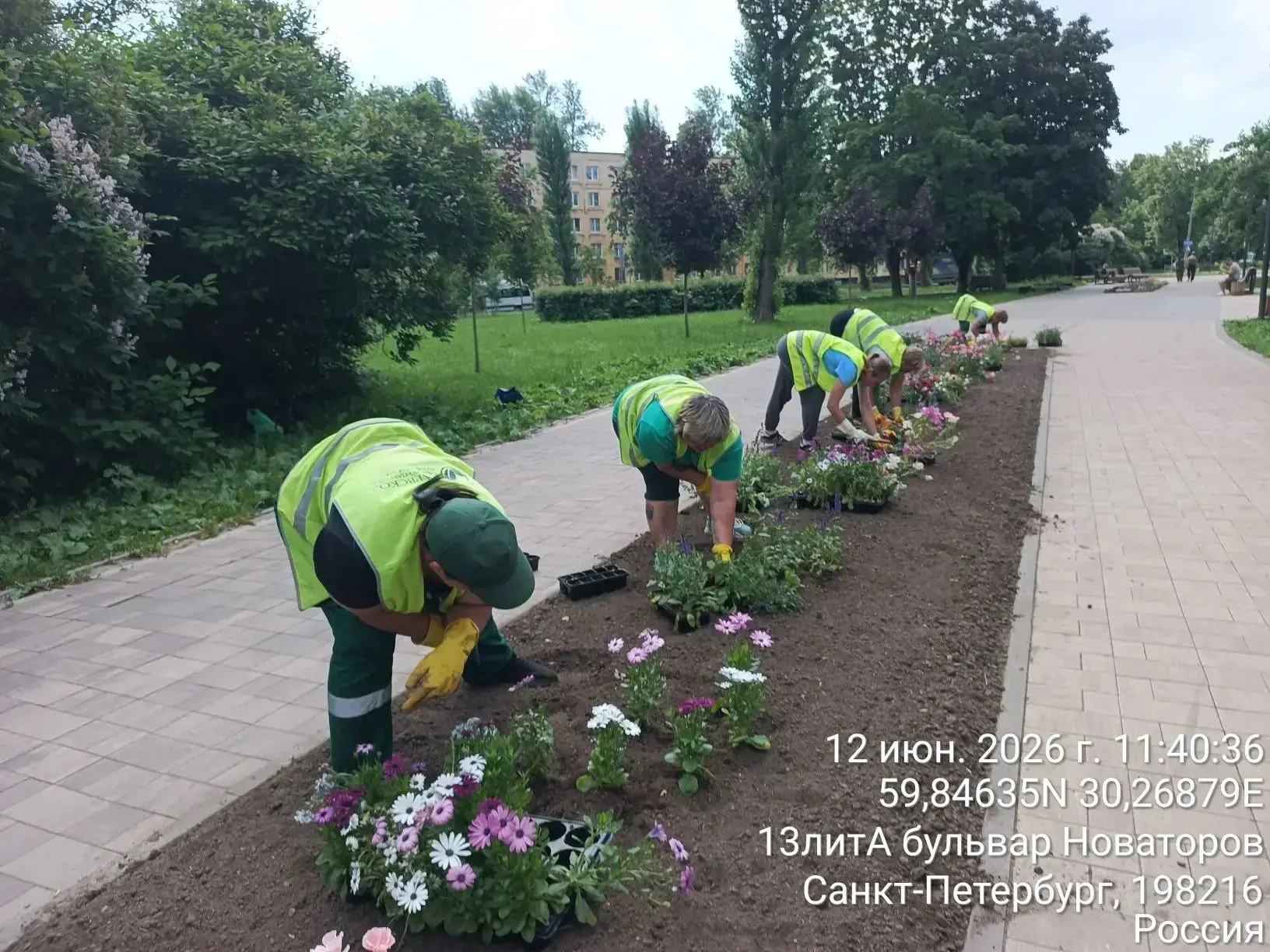 Сегодня мы приступили к высадке яркого и красочного цветника на бульваре Новаторов.
Этот цветник ста