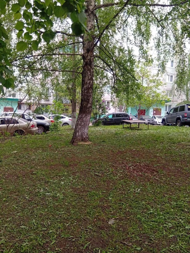 Покос травы по адресу: г. Курск, ул. Чернышевского, 72. ООО "УК ЖИЛОЙ ДОМ"