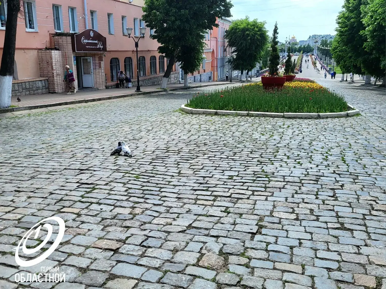 Романтические вечера в Орле...  Хорошего вам вечера, друзья и прекрасного выходного!