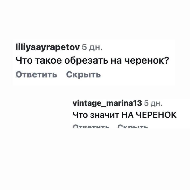Что значит обрезка на черенок?👇