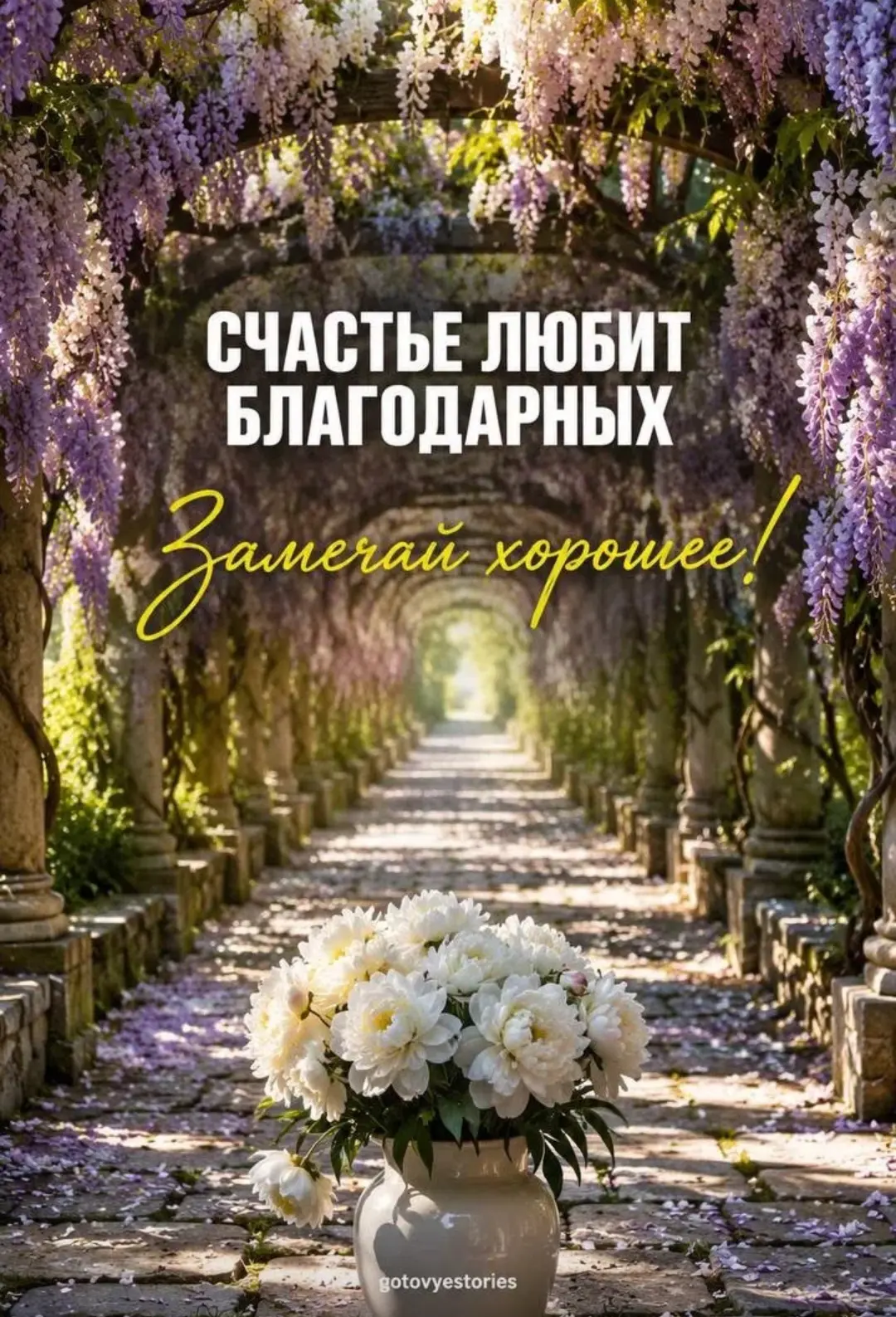 Доброе утро, друзья❤️! 

Послание дня✨

✨✨✨✨✨✨✨✨✨✨✨✨✨✨✨✨✨
СЧАСТЬЕ ЛЮБИТ БЛАГОДАРНЫХ
✨✨✨✨✨✨✨✨✨✨✨✨✨✨✨✨