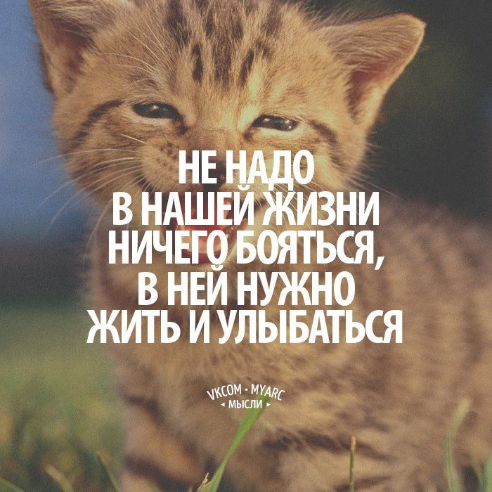 Все Возможно. Мотивация. Подпишись на @myarc