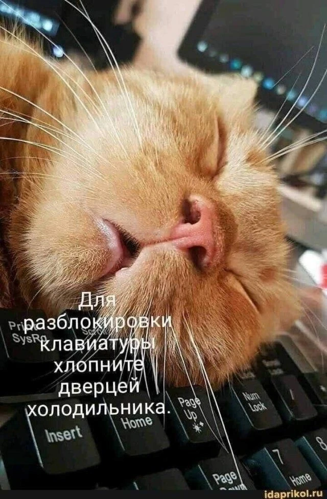 Юмор | Приколы | Мемы 👇🏻