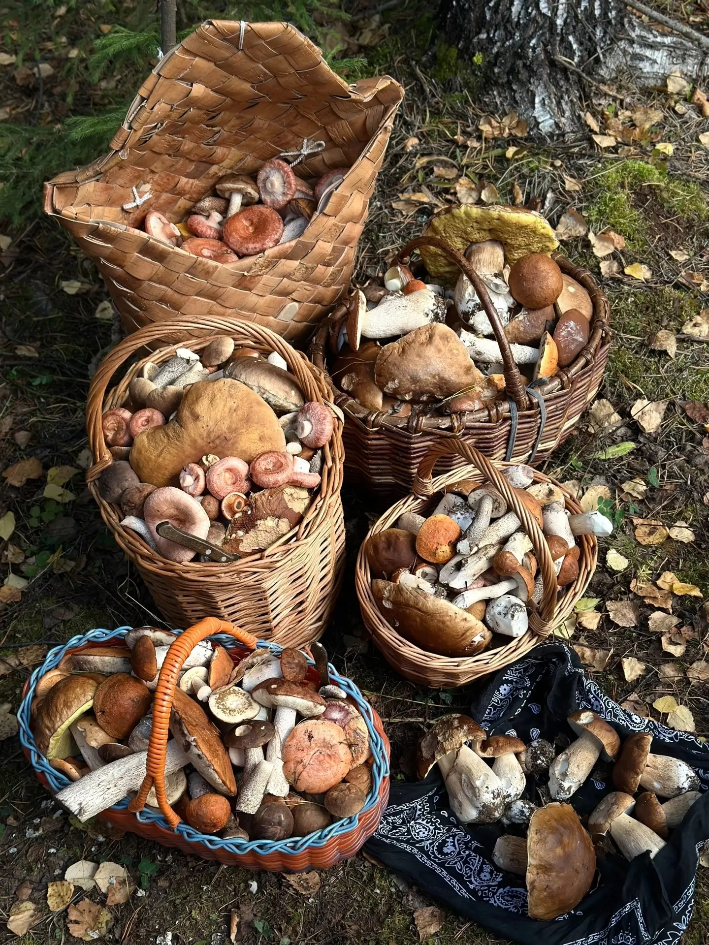 🍄‍🟫 Улов в Нытвенском районе