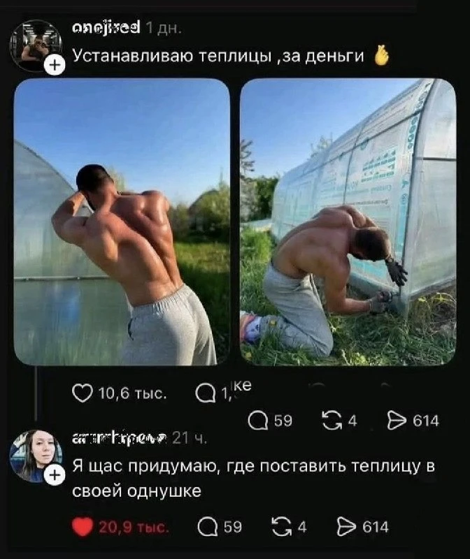 Убедительный аргумент.