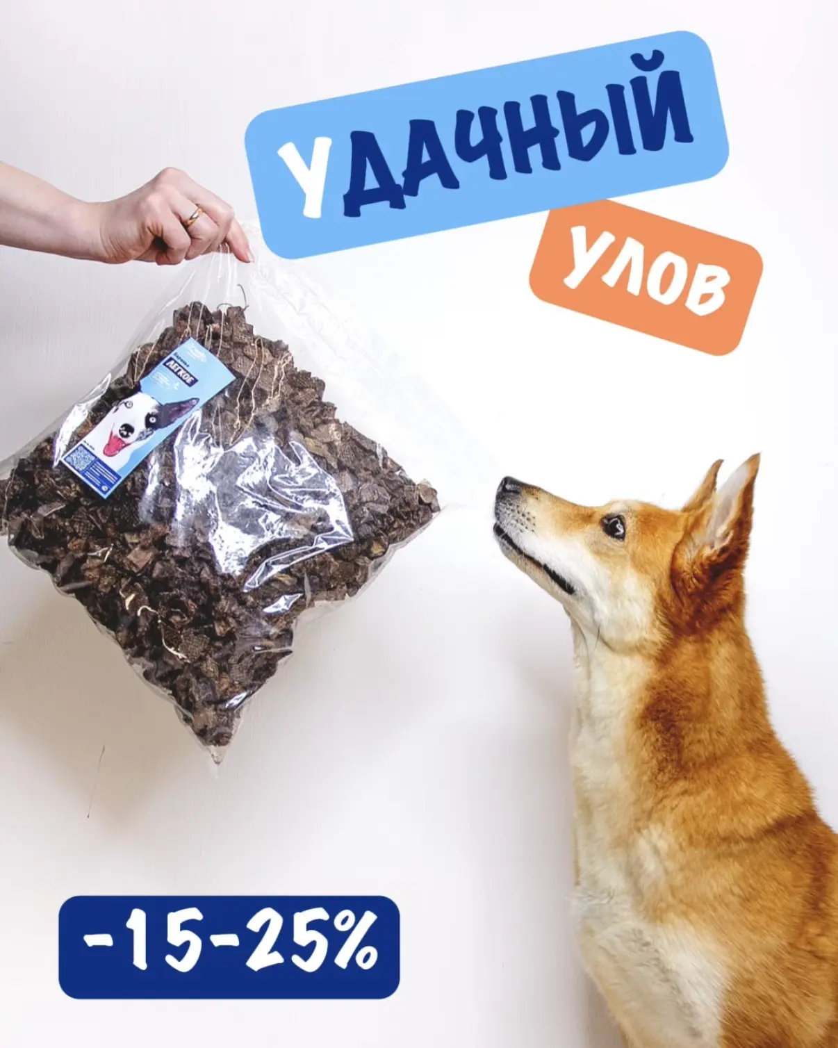 уДАЧНЫЙ улов - не только возможность сделать запасы для дачного сезона, но и ооооочень ...