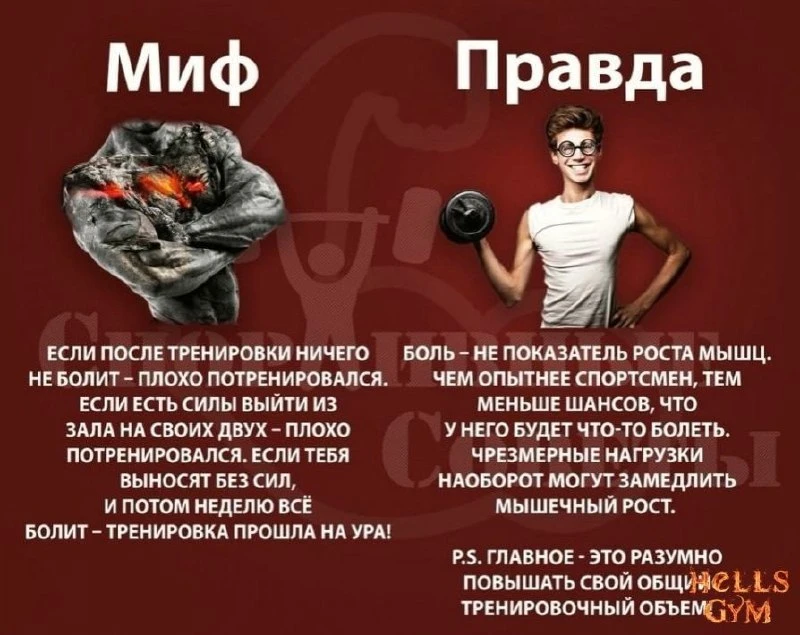 Миф/правда🔸🔥  🎀 КАЧАЛКА для ЛЕДИ 🎀