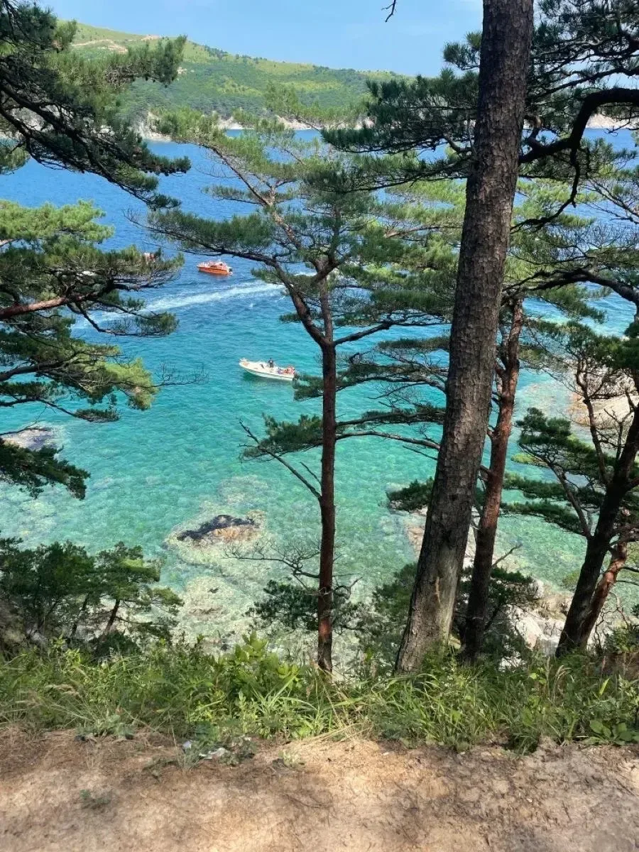 Изображение 10 к публикации «База Отдыха  Островок 🏝️   в Андреевке»