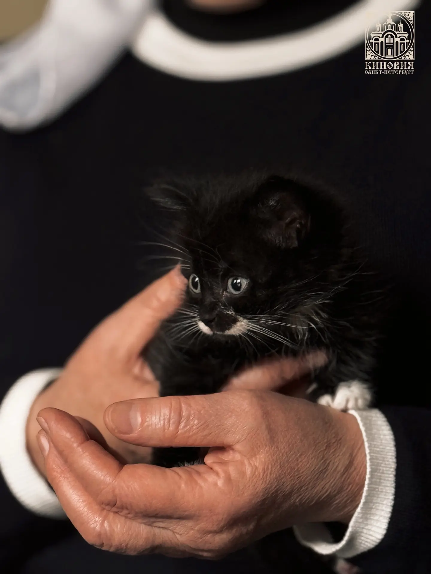 🕊️Человек совершенно сознательно, рационально и добровольно немилосерден, жесток, зол....