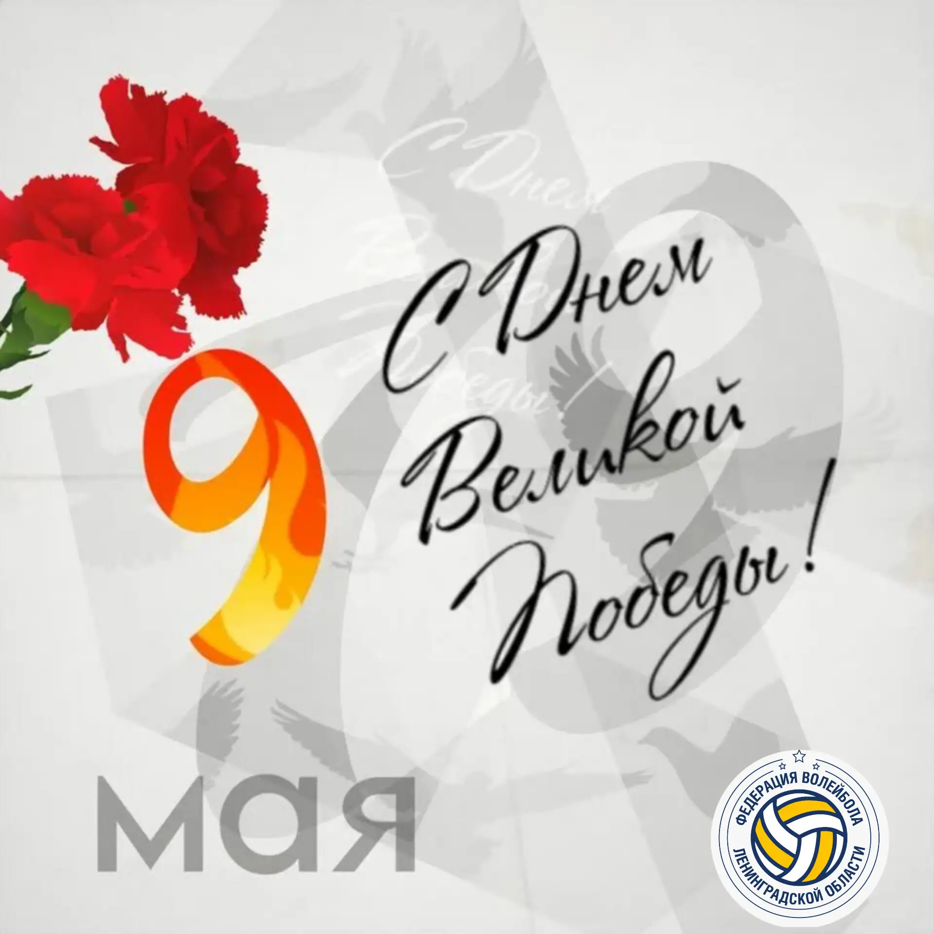 Федерация волейбола Ленинградской области поздравляет с великим праздником -  Днём Вели...