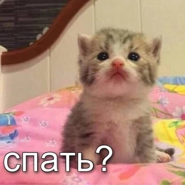 💤 Доброй ночи!
