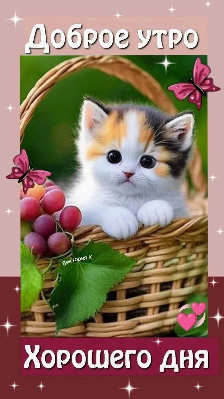 ✨❤️❤️❤️🍬✨