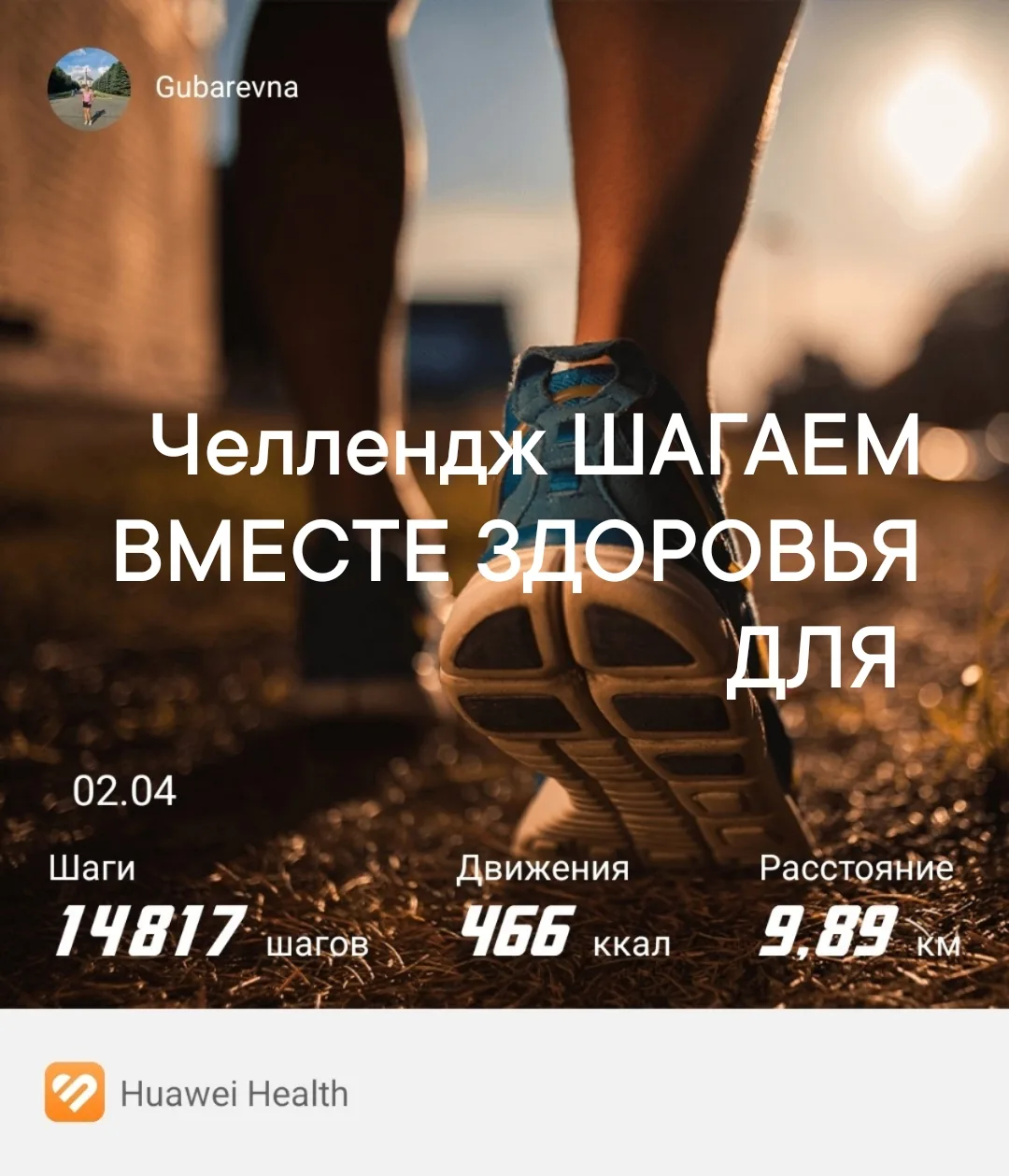 Добрый вечер, мои прекрасные! ✨