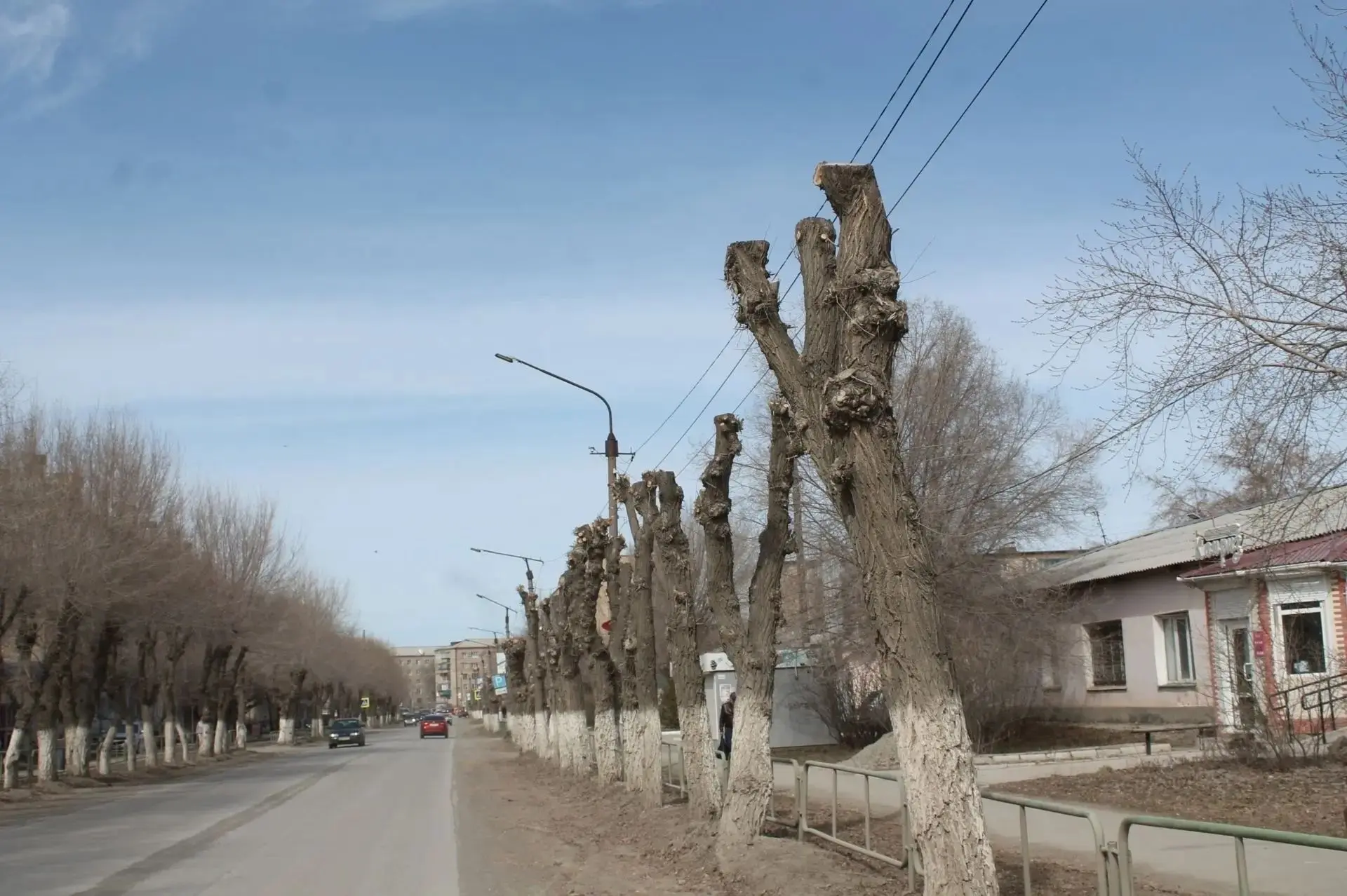 А помните «пеньки»?