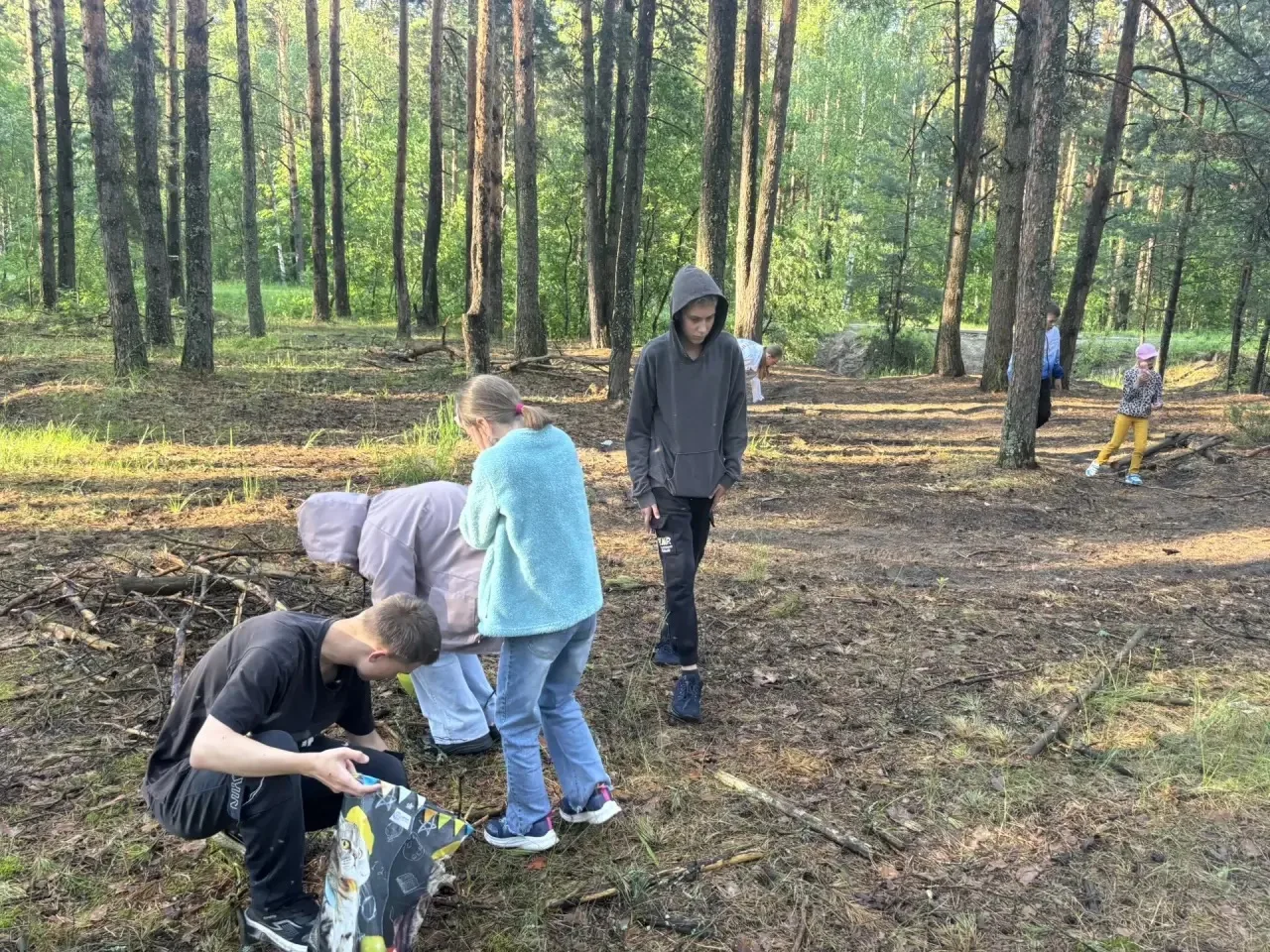 🌲 Лесная экспедиция юных патриотов и творцов!