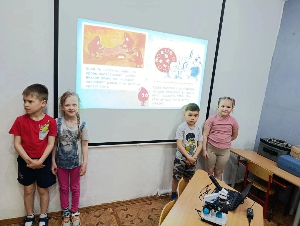 На занятии. Кружка "Юный исследователь" дети узнали, что в  кровь состоит из разных кле...