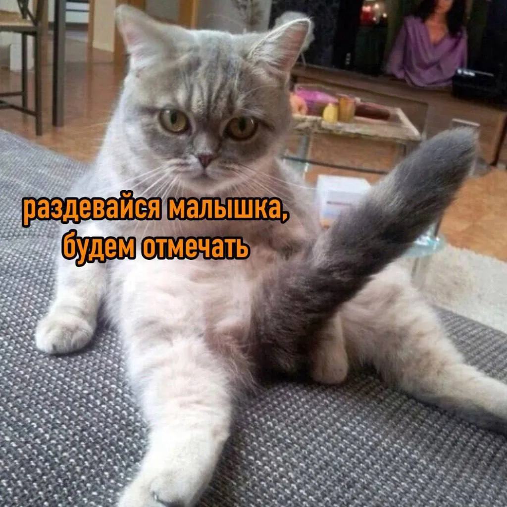 Международный День женского оргазма отмечается сегодня.