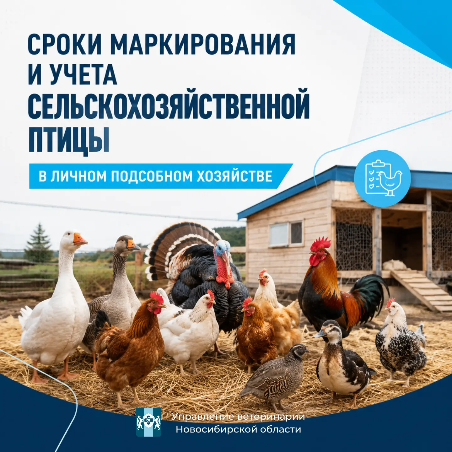 🦃 До 1 сентября 2026 года владельцы ЛПХ должны провести учет сельхозптицы