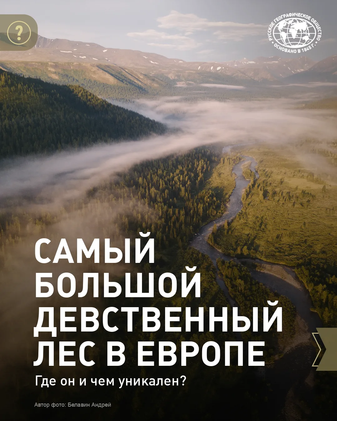 🌲Самый большой и нетронутый лес в Европе находится в России! Знали про это?
