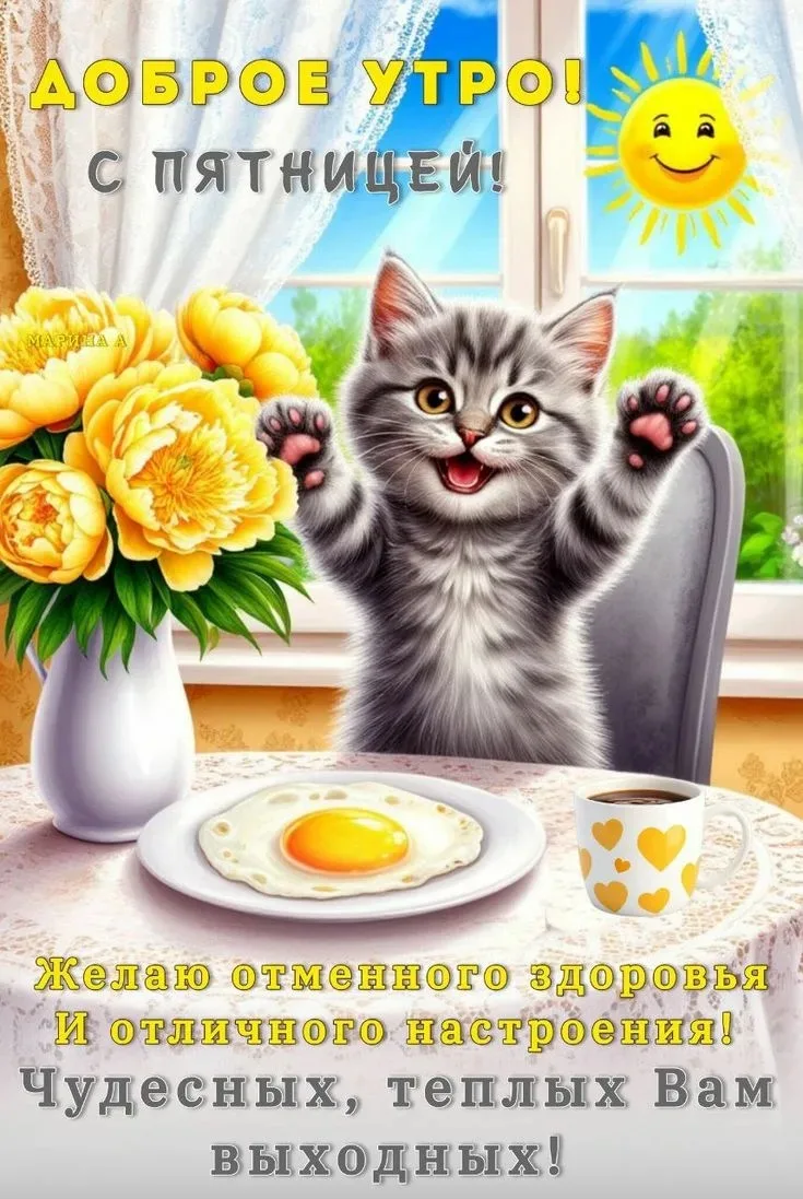 Больше открыток тут👇
