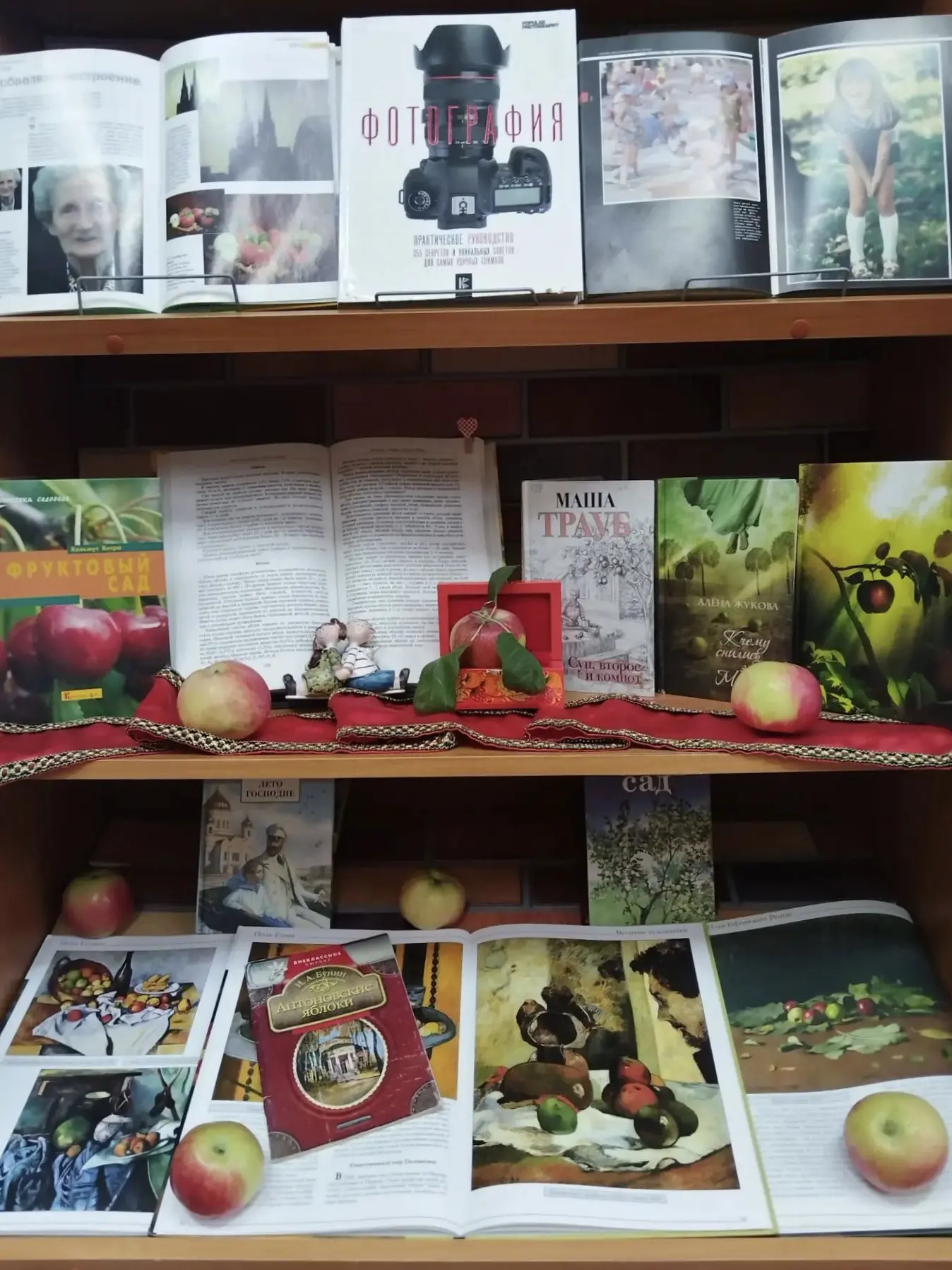 📚Центральная библиотека Вольска приглашает на книжную выставку - ассорти «Мир в фокусе».