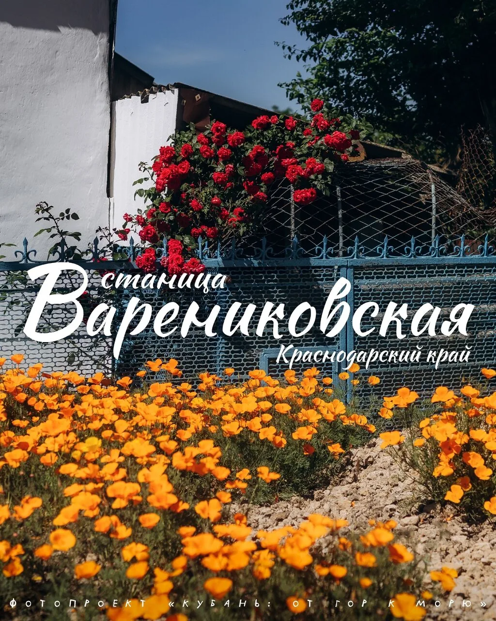 🥟 Станица Варениковская под Анапой. И да, к вареникам её название отношения не имеет 😄