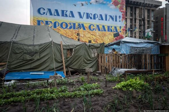 Помните огородики на Майдане? Тоже пригодились бы сейчас.
