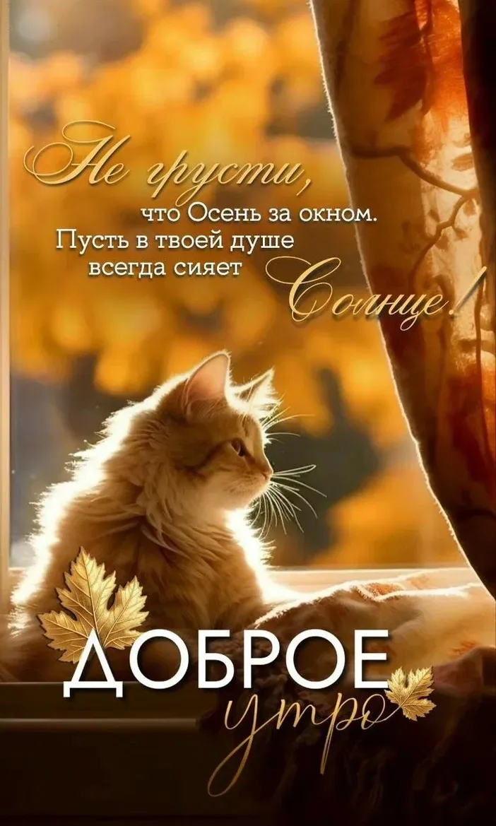 Рай открыток | Открытки 🥰