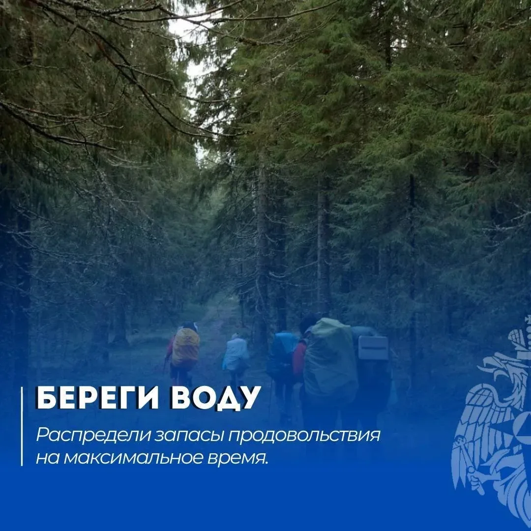 Безопасный поход 

Читай в нашей памятке: что делать, если потерялся в лесу.

МЧС России напоминает: