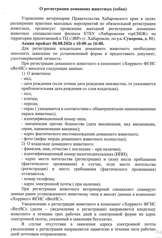 Медиа публикации