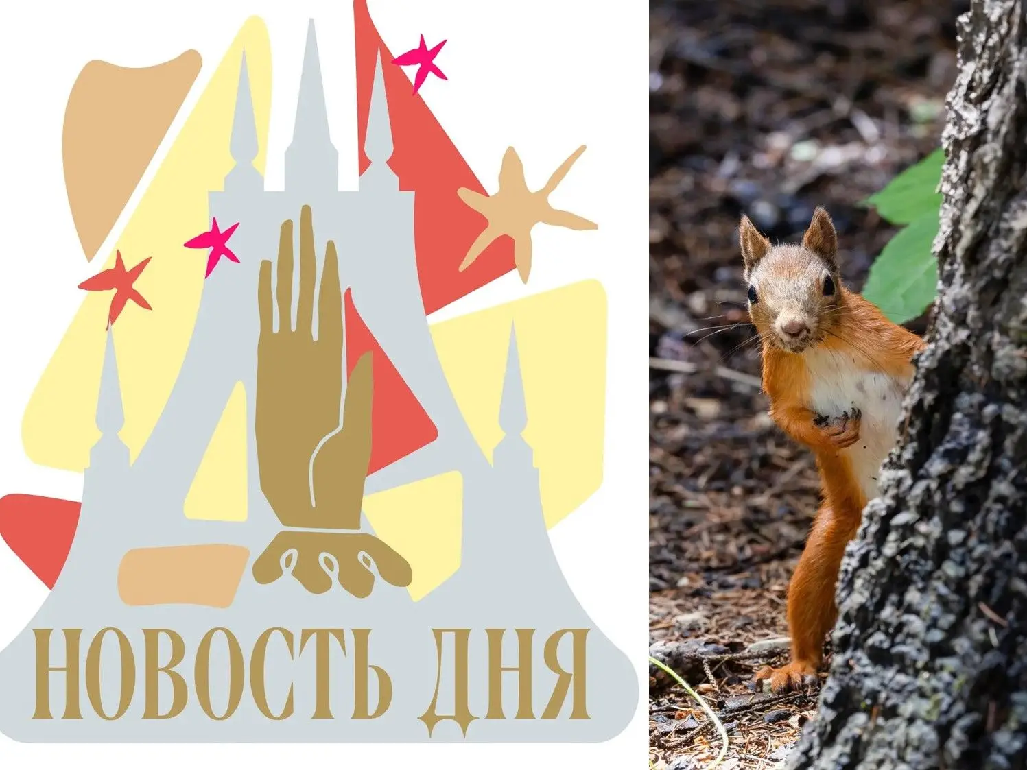 Музей‑заповедник «Царицыно» приглашаем волонтеров стать частью зеленого чуда!