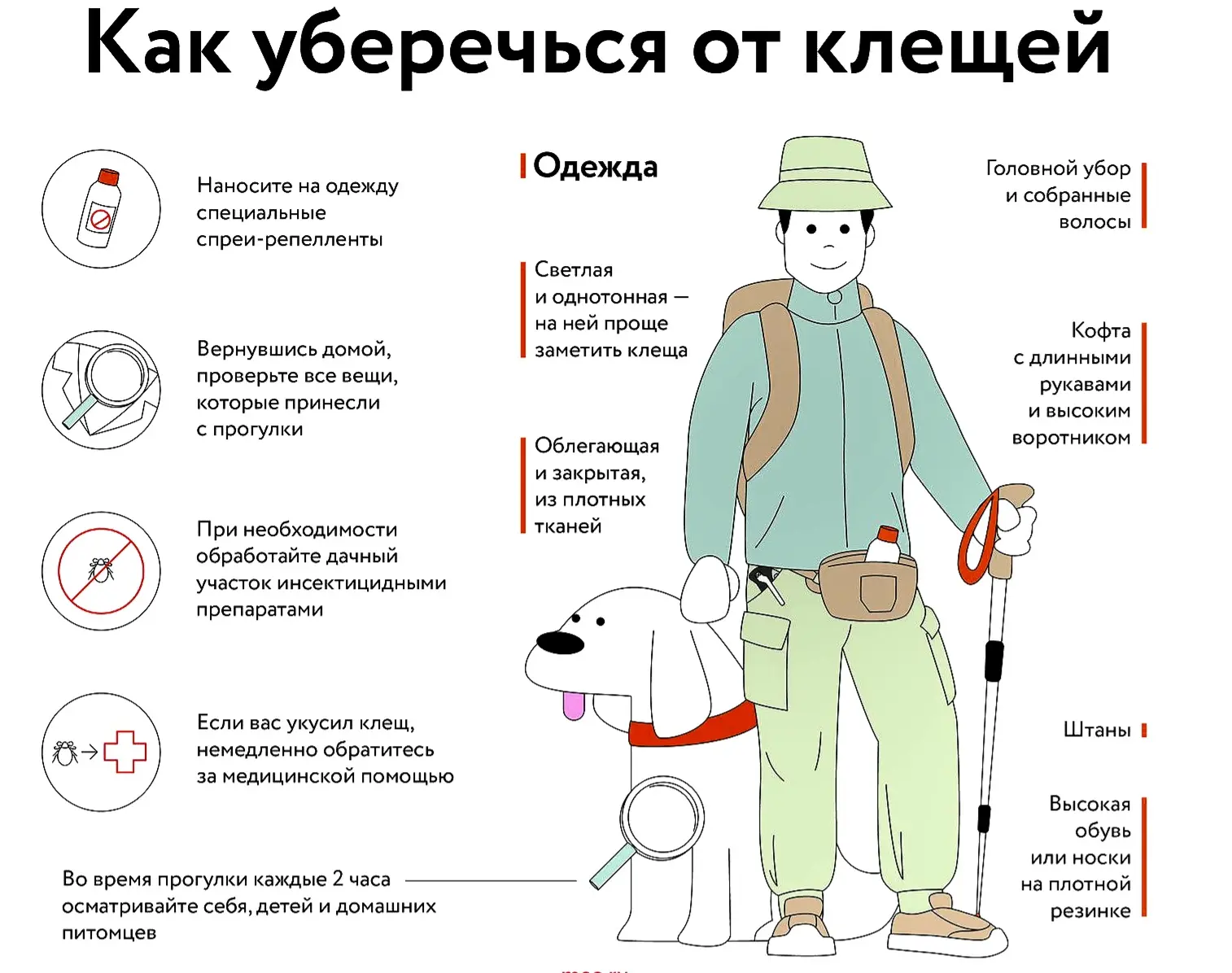 ❗ Внимание: сезон клещей